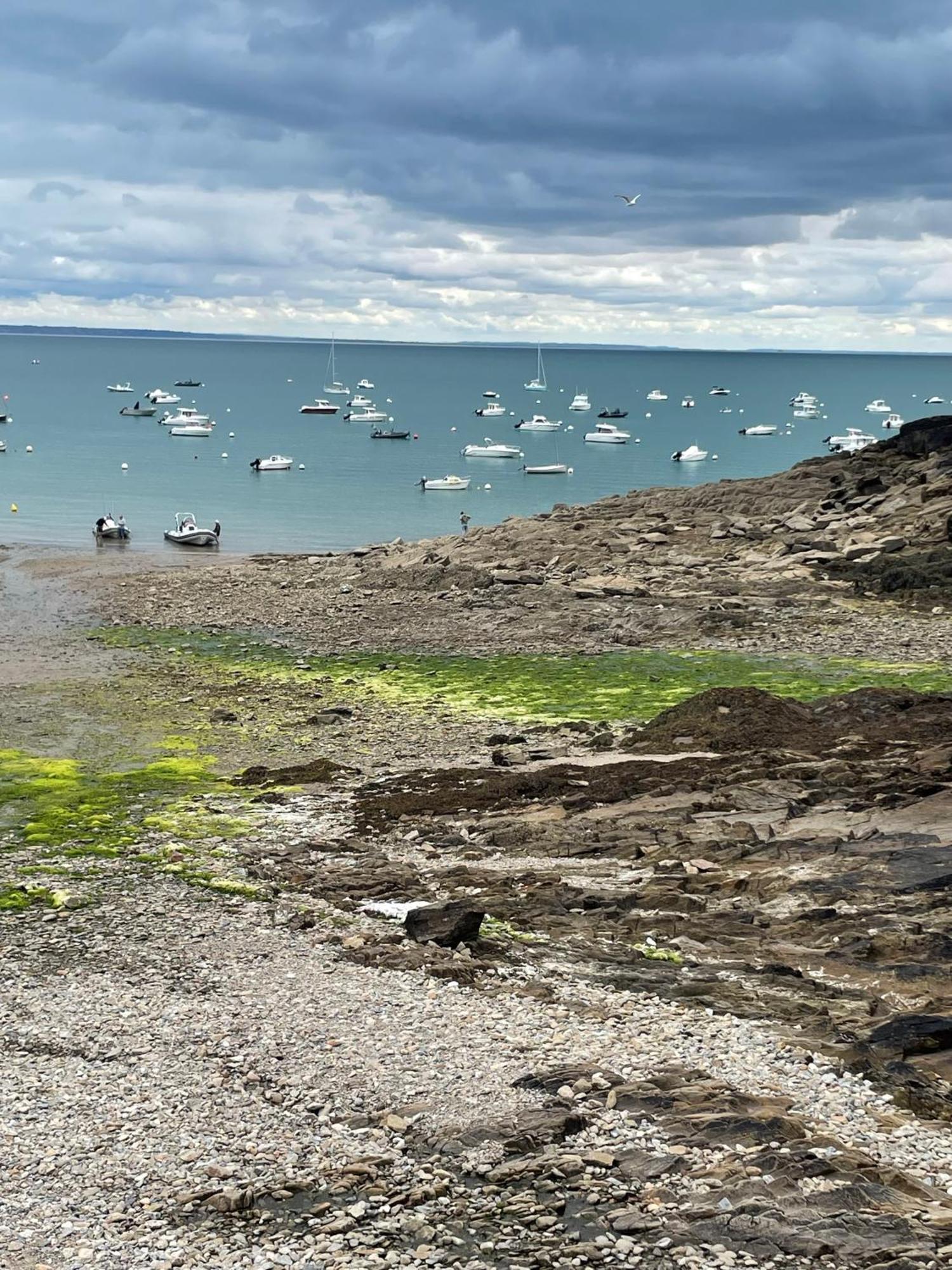 Appartamento La Capitainerie Cancale Esterno foto